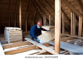 Best Eco-Friendly or Green Insulation Solutions  in Saline, MI