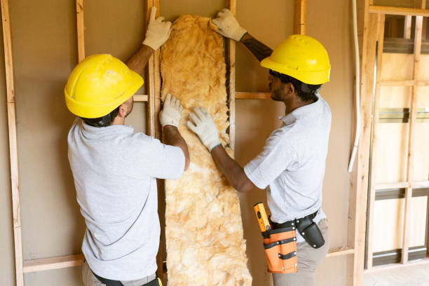 Best Eco-Friendly or Green Insulation Solutions  in Saline, MI